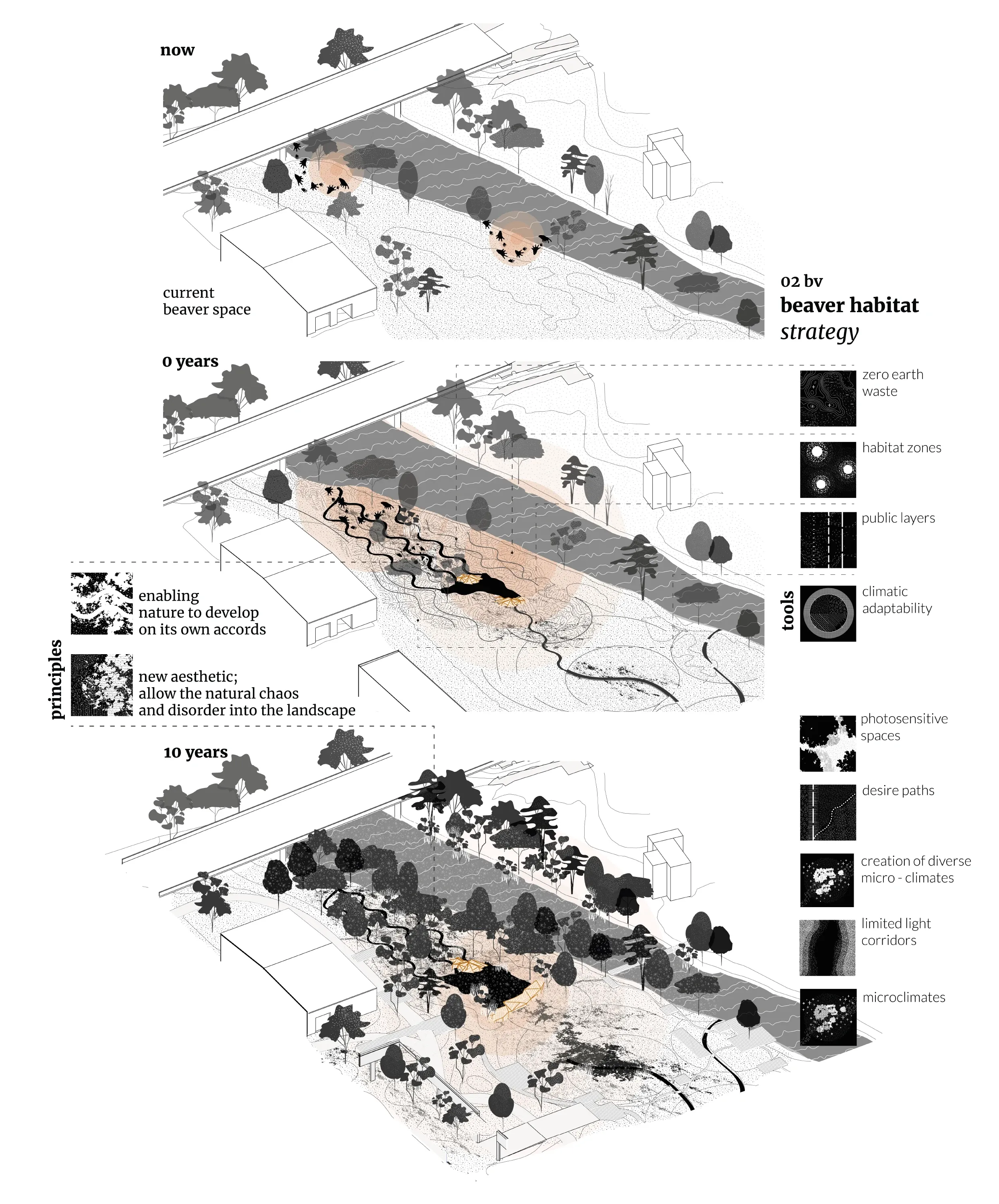 02 Beaver Habitat<br/>- fauna